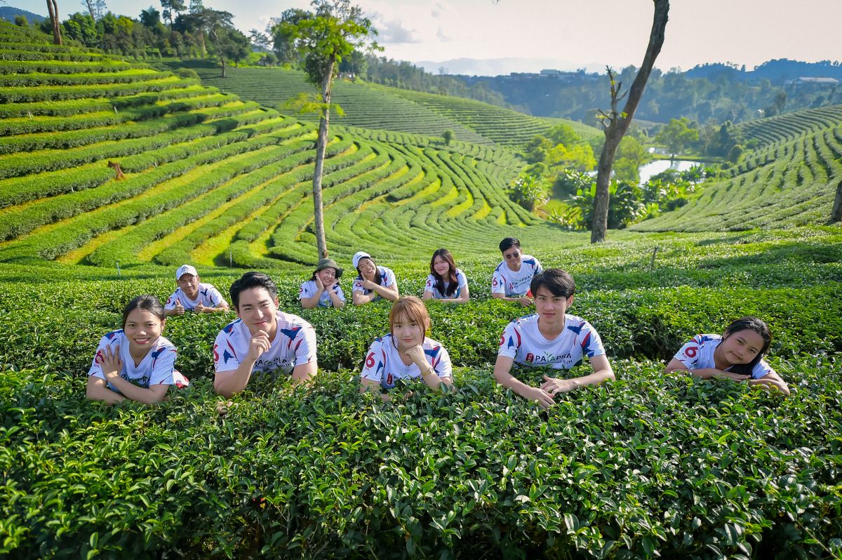 องค์การบริหารส่วนตำบลเทอดไทย